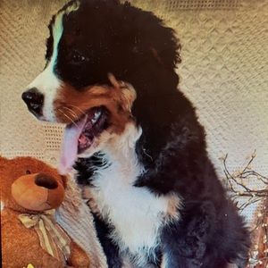 Meet your Posher, Meg